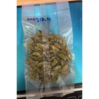 印度綠豆蔻 20g 儀式用