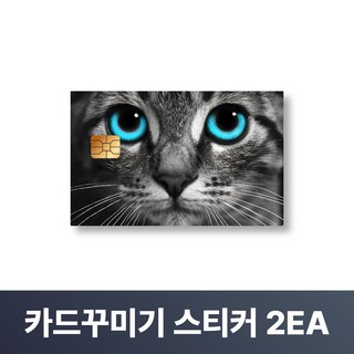 맥맨 카드꾸미기 스티커 신용카드 커버, 2개, M-28