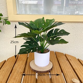 臺灣出貨 仿真盆景北歐假花辦公桌小盆栽龜背盆栽客廳裝飾仿真綠植家居擺件, 龜背葉（低款）+小石子花盆, 1個