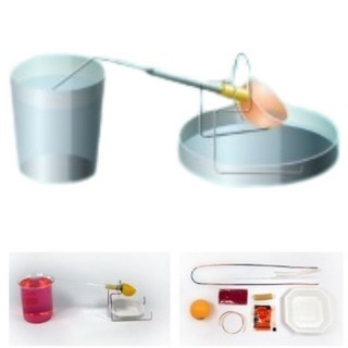 5인세트 모세관현상 과학교구 물먹는새 실험키트 준비물 어린이 도구