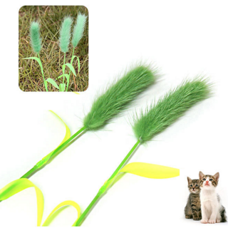 펫모닝 고양이 장난감 강아지풀 냥이 스트레스해소 및 지능개발 막대장난감, 1개, 그린