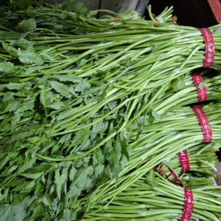 순천만 청정 미나리 국내산 당일수확 발송, 1박스, 1kg