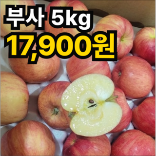 [전국최저특가] 100박스한정 후회없는 꿀맛 못난이사과, 1박스, 5kg