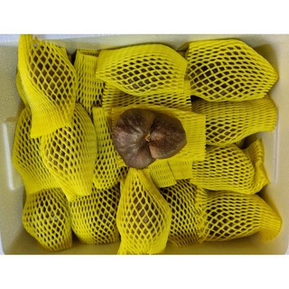 2025 햇 하늘마 열매마 넝쿨마 우주마 1kg/5kg, 하늘마 (개별포장)1kg, 1개