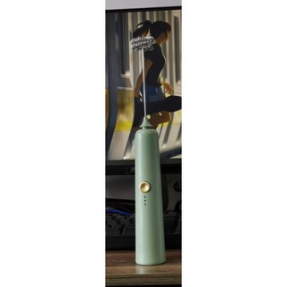 3檔調速 家用手持電動奶泡機 咖啡拉花烘焙器, 電動打蛋器 綠 (無附充電插頭)