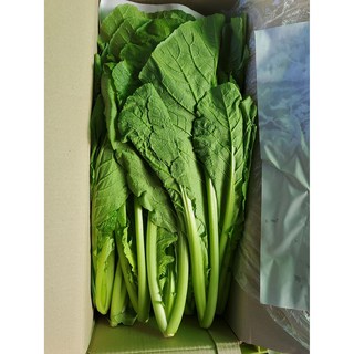 연하고 부드러운 포천 하우스 돌산갓, 2kg, 1박스, 2kg