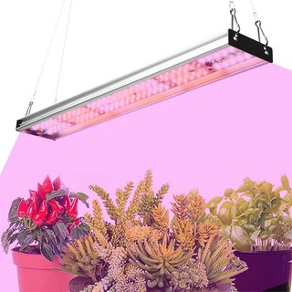 全光譜 植物生長燈 太陽光 多肉植物燈, 1個, 紫光 144 LED植物燈,2支一組