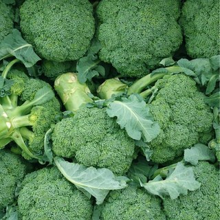 탐나유 국내산 제주 브로콜리 브로컬리, 1개, 1kg