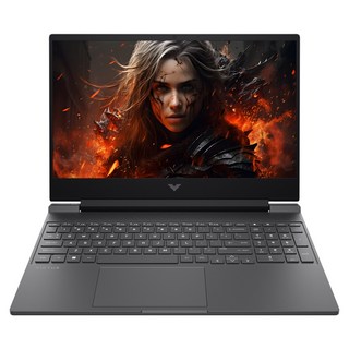 HP 2025 VICTUS 15 GAMING LAPTOP 15.6 라이젠9 라이젠 8000시리즈 지포스 RTX 4060, 빅터스 15-fb3001AX, WIN11 Home, 32GB, 512GB, Mica Silver
