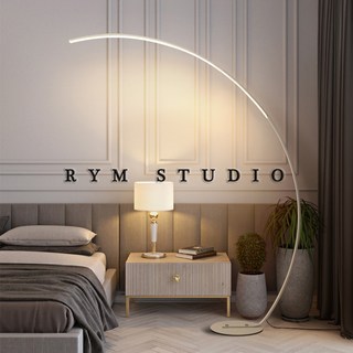 RYM studio 爆款現代簡約北歐釣魚客廳LED落地燈，設計師藝術立式台燈，創意INS風格, 白色,單色（請備注光色，黃光｜白光｜中性光）