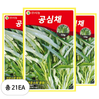 다농 공심채 씨앗, 21개