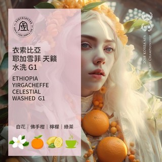 衣索比亞 耶加雪菲 天籟 水洗 G1 Xinto Coffee, 1個, 1/4磅