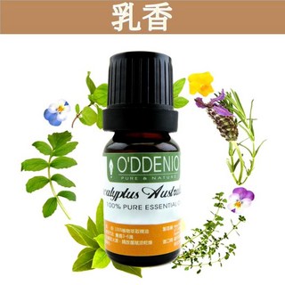 《歐丹尼》乳香純精油，10ml-50ml，優質單方精油, 1個, 乳香50ml