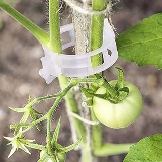 다용도 식물 지지대 고정클립, 300개