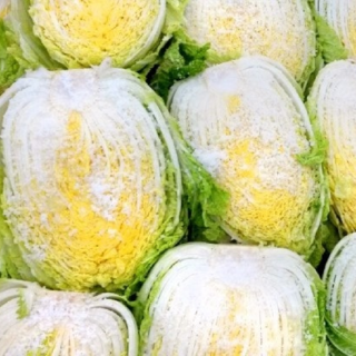 [산지직송] 해남 아삭한 절임배추, (아삭절임), 1박스, 10kg