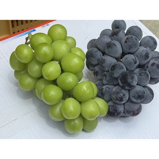 [타임세일] 샤인머스켓 +거봉 꿀 포도 세트 1박스 거봉1송이+샤인1송이, 거봉1+샤인1 1kg