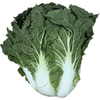 클릭마켓 국내산 해남 배추 특품, 1개, 3kg