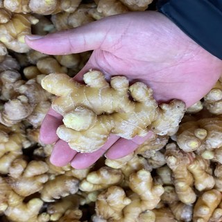 [정품] 금메달농수산 산지직송 세척생강, 1개, 500g (특품)