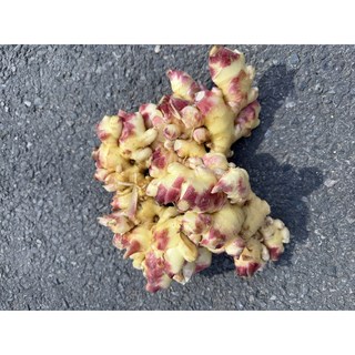 국산 햇생강 흙생강 최상품, 1박스, 1kg