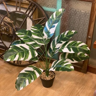 GXS拍照道具 龜背葉仿真植物假盆栽，室內裝飾綠植，免澆水仿真龜背芋盆栽, 12葉白錦旅人蕉-高約65cm, 1個