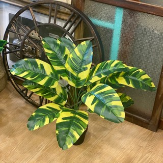 GXS拍照道具 龜背葉仿真植物假盆栽，室內裝飾綠植，免澆水仿真龜背芋盆栽, 12葉黃綠旅人蕉-高約65cm, 1個