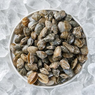 국내산 당일조업 활 바지락 생물 조개 참바지락, 1kg, 1세트