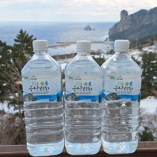 울릉도 고로쇠물 첫물 원액 1리터 인삼맛 사은품증정, 6개, 1L