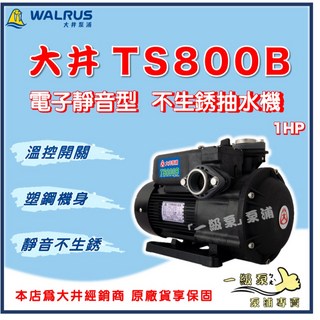 大井 TS800B 1HP 電子靜音型抽水機 不生鏽水機 一級泵浦 家用抽水馬達, 1個, 3/4"（20mm）,110V