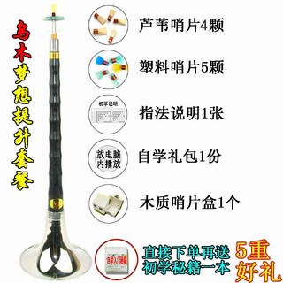 嗩吶樂器全套初學者D調成人大嗦吶小鎖喇專業鑠吶民族中號吹奏喇叭, 夢想提升套餐（黑檀烏木）, 1個
