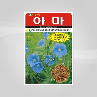 슬로시 채소 씨앗 산채 씨 종자, 1개