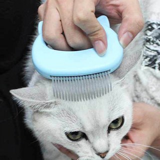 고양이세모빗 등긁는기계 고양이돈모 고양이턱드름브러쉬 강아지빚, 1개, 블루