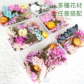 斑馬麥麥乾燥花材料組︱永生花干花花藝材料DIY美勞安親班, B透明盒裝