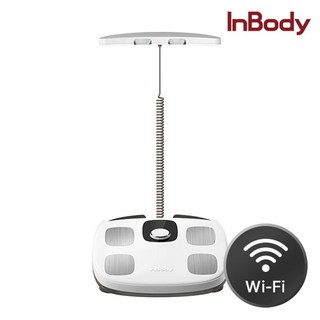 [인바디] 가정용 스마트 체중계 다이얼 H30N 블루투스 와이파이, H30N Wi-Fi 와이파이, 1개