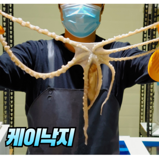 국내산 산낙지 특 대낙지 전라도 뻘낙지 활낙지, 3개, 중낙지(100~130g)