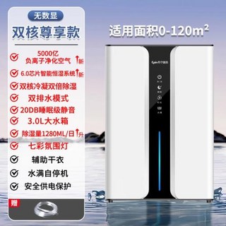 미니 제습기 저소음 일체형 흡습 가정용 기계 실내, 미국 플러그, A, 1개