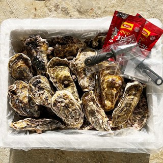 하고잽이수산 솔 세척 프리미엄 통영 석화 굴 (조개칼+회초장증정), 1박스, 5kg