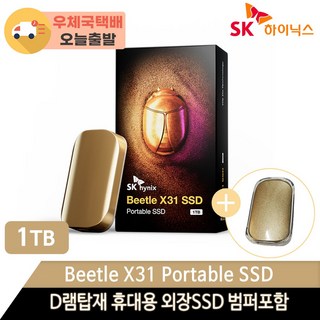 SK하이닉스 Beetle X31 DRAM 탑재 외장 SSD + 전용 케이스, 1024GB, SKHPU3-001T