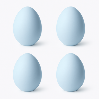 비니퍼니 냉장고 탈취제 냄새먹는 규조토 달걀 계란, 100g, 4개