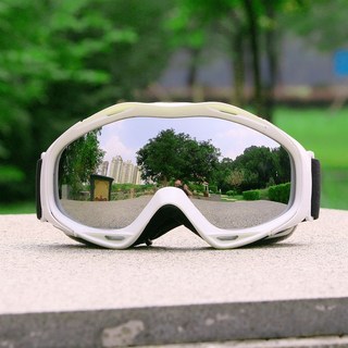 柱麵成人滑雪護目鏡，雙層防霧防風雪地眼鏡，臺灣出貨，滑雪裝備可開發票, 白框（銀片）, 1個