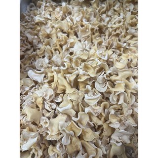 白玉木耳 限量稀有小木耳, 1個, 200克