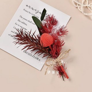 幹花墻面裝飾牆上掛件，高級感真花鬆果樹枝植物標本，背景牆墻飾貼墻, F-15