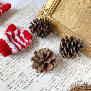 極度花燥 松花落葉松果乾燥花材組：毬果、尤加利果實，適用於聖誕花圈、藤圈DIY裝飾, 松果（3-4cm）4入