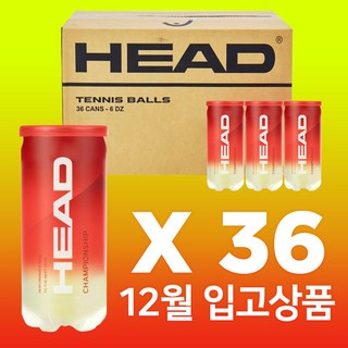 헤드 (2개입) 36캔 1박스 테니스공 시합구, 그린옐로우, 36개