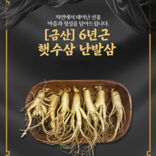 상시수확 금산 인삼 난발삼 300g(6~8뿌리) 인삼차 증정 100% 국내산 금산인삼시장 4-6년근 세척삼 못난이 가정용 알뜰형 인삼 당일배송, 300g (6~7뿌리), 1개