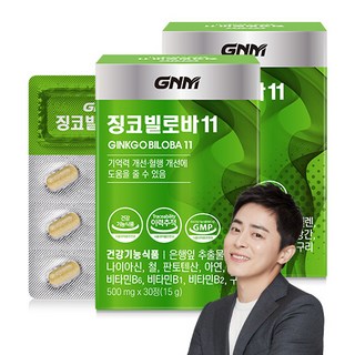 GNM자연의품격 징코 빌로바11 30정, 2개