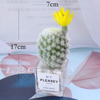 仿真多肉植物小盆栽 ins辦公室桌面裝飾綠植擺件, 1個, H