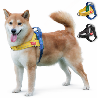 바밍펫 앞섬방지 강아지 하네스, 1개, 비비드믹스(블루,옐로우,그린)
