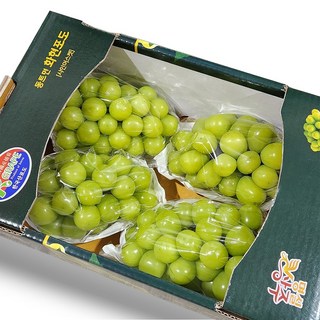 [산지직송] 최대 20brix 고당도 샤인머스캣 프리미엄 망고포도, 1박스, 특품 샤인머스켓 2kg (4-5수)