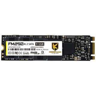 【AITC 艾格】KINGSMAN FM250 512GB M.2 2280 SATAIII 固態硬碟