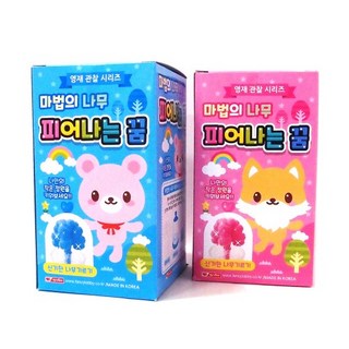 피어나는꿈 / 나무기르기 마법의 나무 영재 관찰 놀이 학습, 핑크(여아)